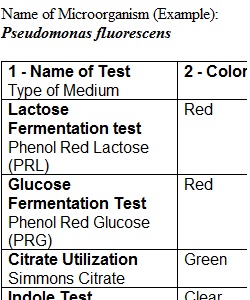 Final Gram Negative identification